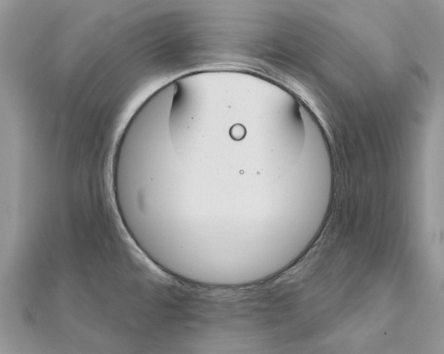 X0000112061480200909010952