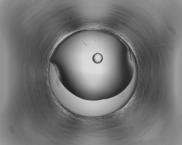 X0000112061481200909010952