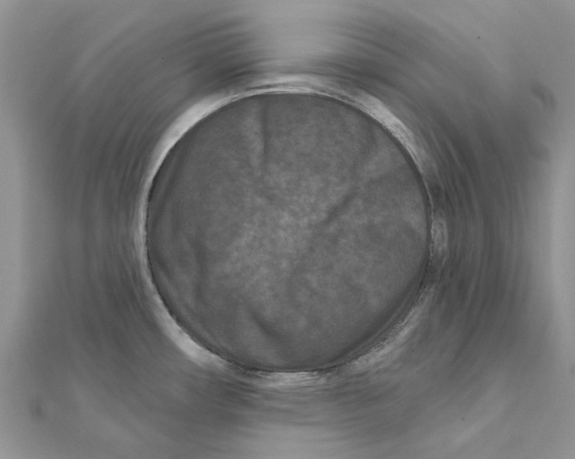 X0000112061482200909010952