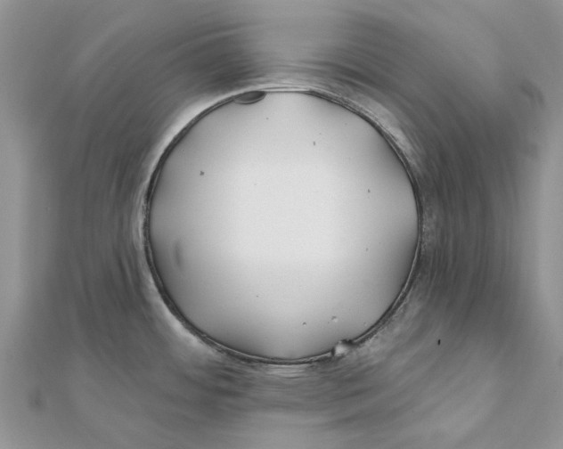 X0000112061484200909010952