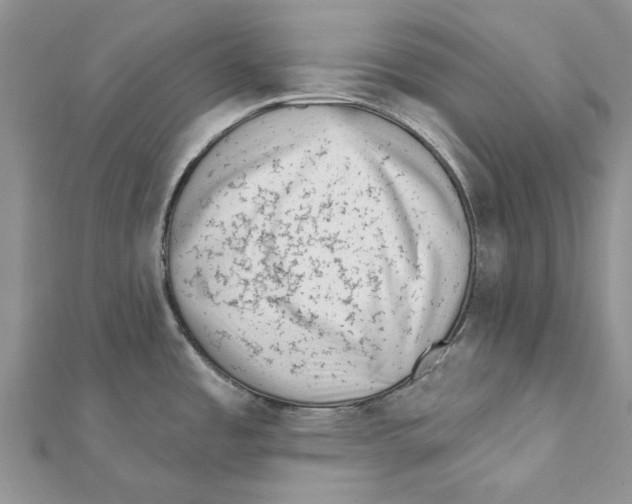 X0000112061485200909010952