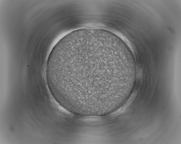 X0000112061486200909010952