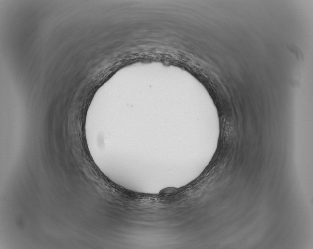 X0000112061489200909010952