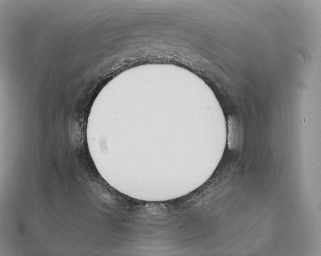 X0000112061491200909010952