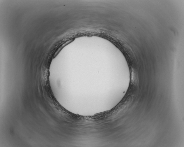 X0000112061492200909010952