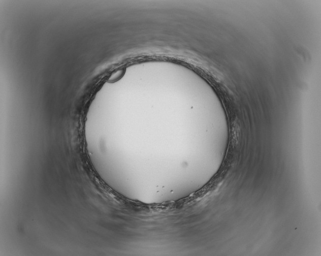 X0000112061494200909010952