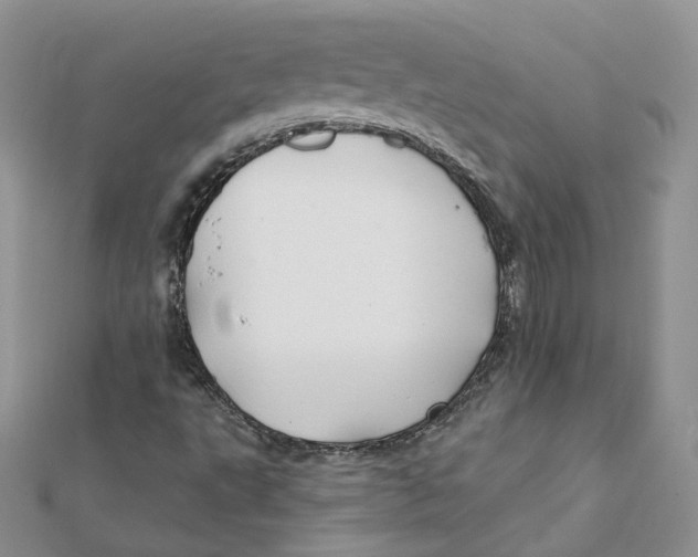 X0000112061495200909010952