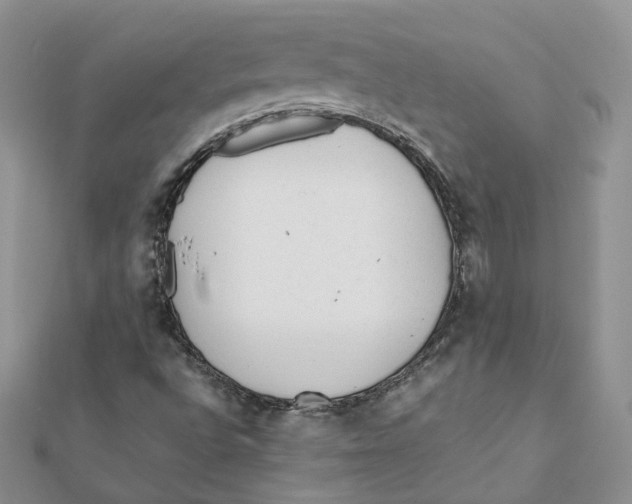 X0000112061496200909010952