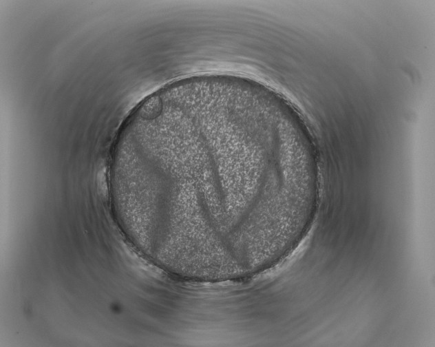 X0000112061497200909010952