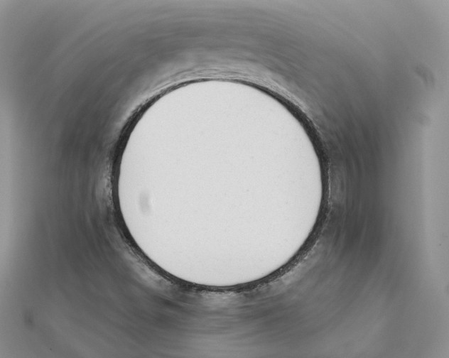 X0000112061498200909010952