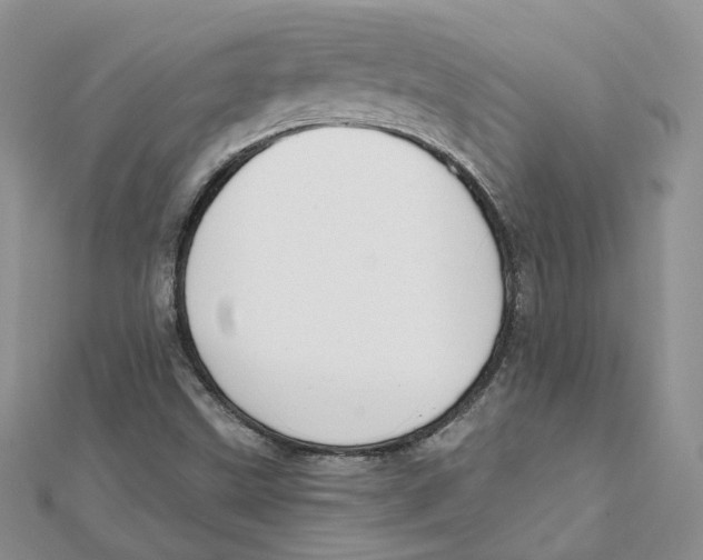 X0000112061499200909010952