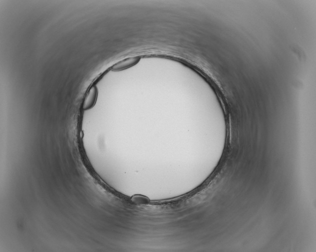 X0000112061500200909010952