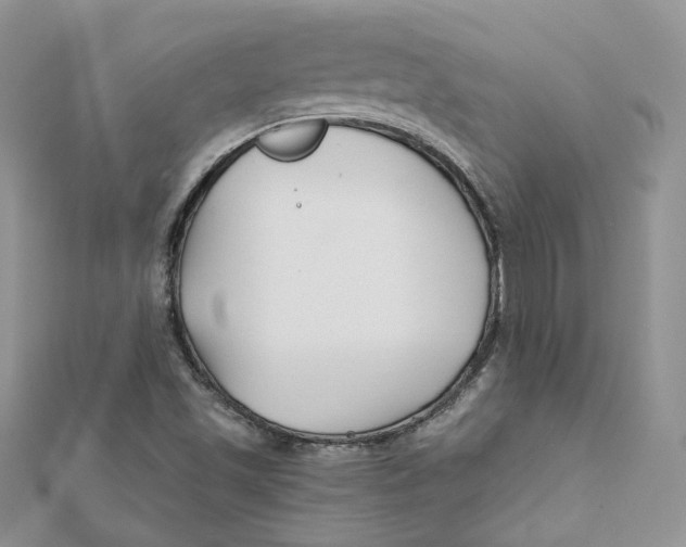 X0000112061501200909010952