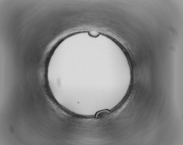 X0000112061502200909010952