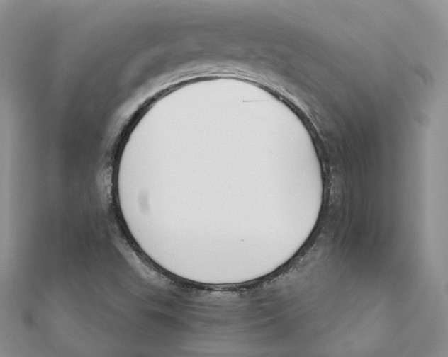 X0000112061503200909010952