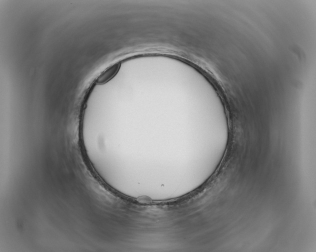 X0000112061504200909010952