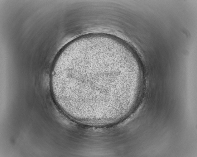 X0000112061505200909010952