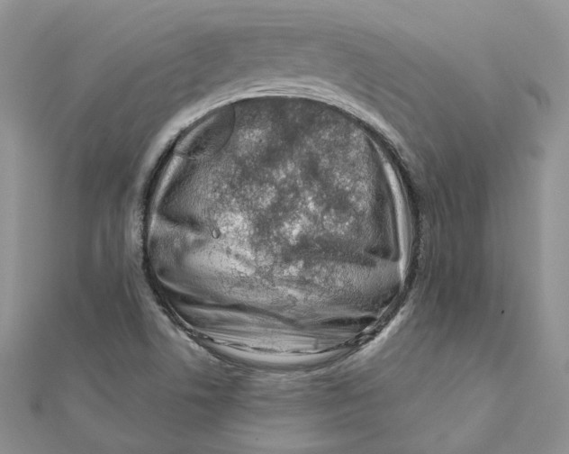 X0000112061506200909010952