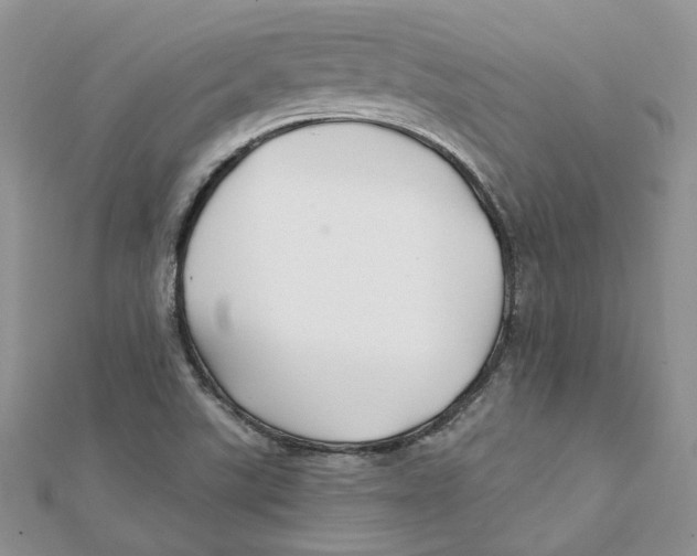 X0000112061507200909010952