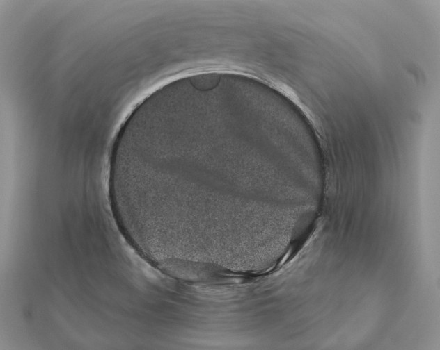 X0000112061508200909010952