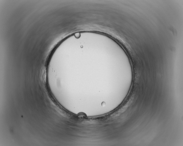 X0000112061509200909010952