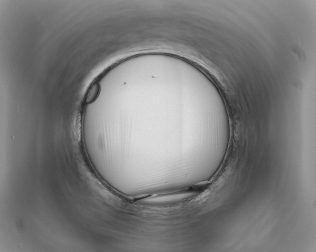 X0000112061510200909010952