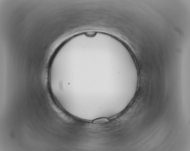 X0000112061511200909010952