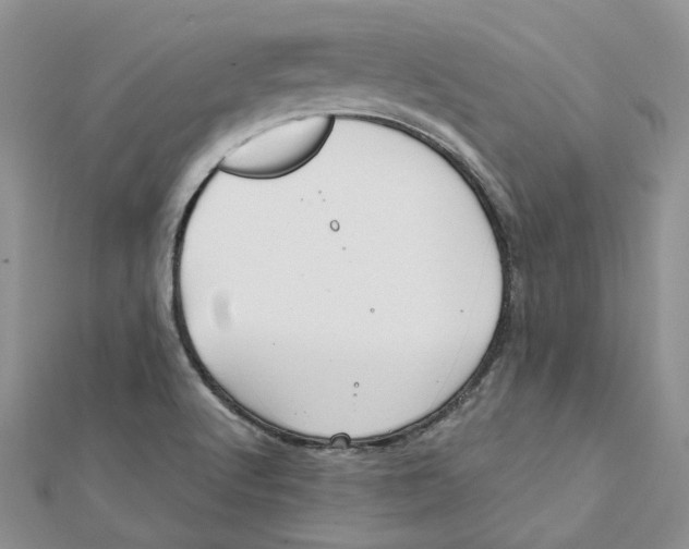 X0000112061512200909010952