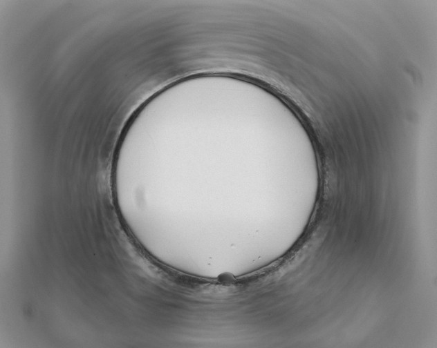 X0000112061513200909010952