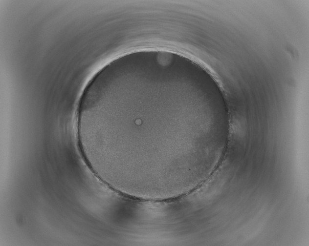 X0000112061514200909010952