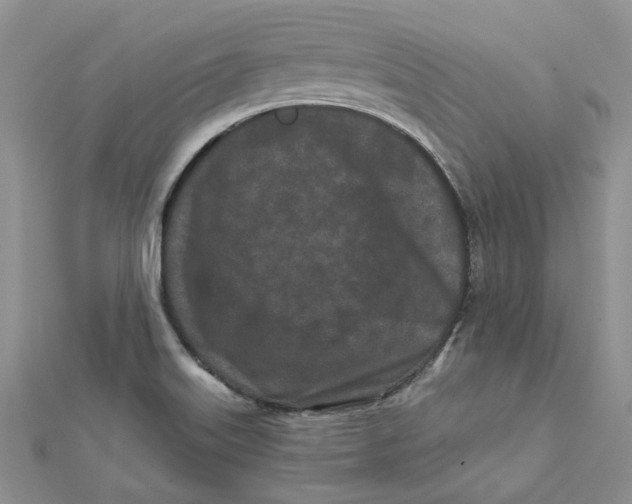 X0000112061515200909010952