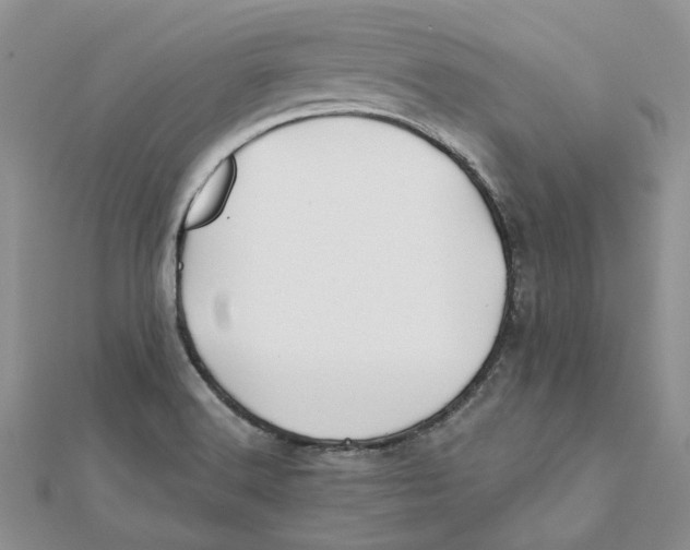 X0000112061516200909010952