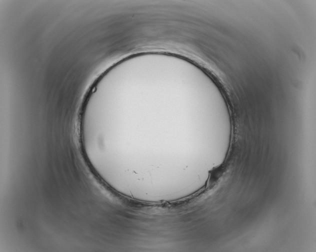 X0000112061517200909010952