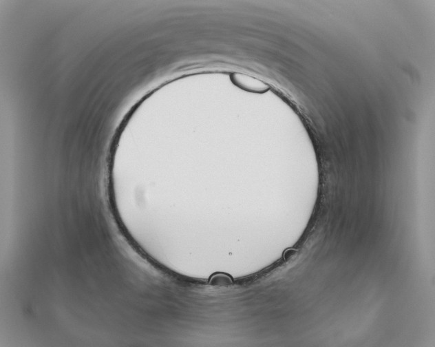 X0000112061518200909010952