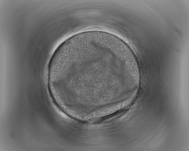 X0000112061519200909010952