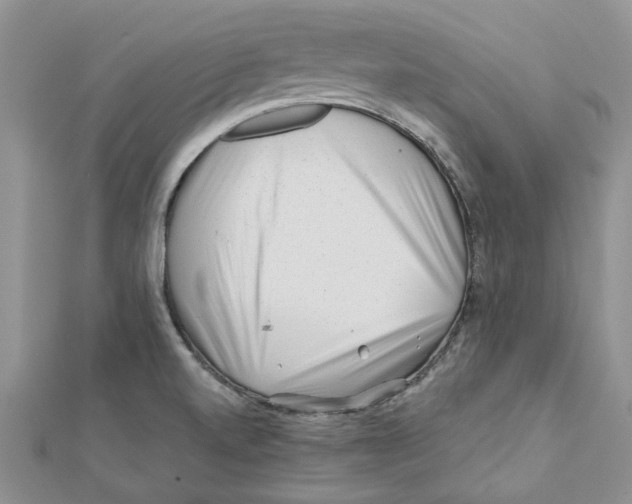 X0000112061520200909010952