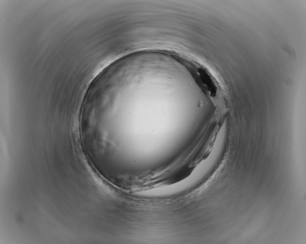 X0000112061521200909010952