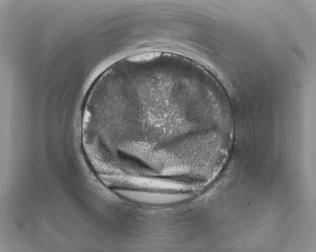 X0000112061522200909010952