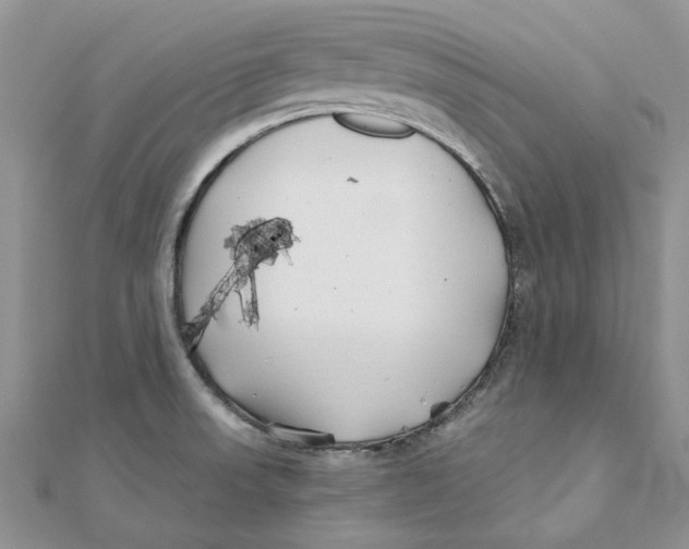 X0000112061523200909010952