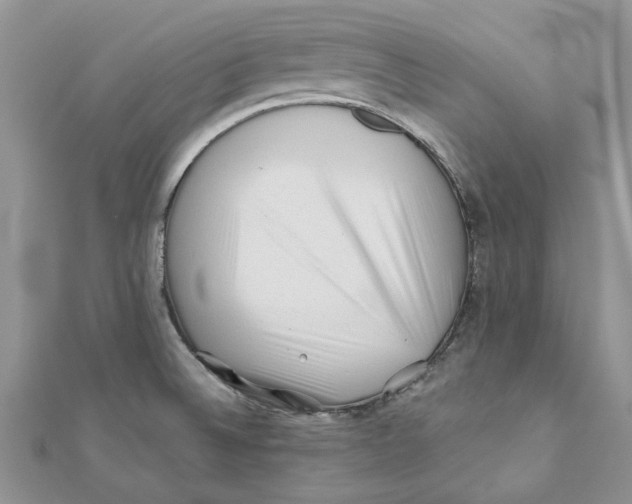 X0000112061524200909010952