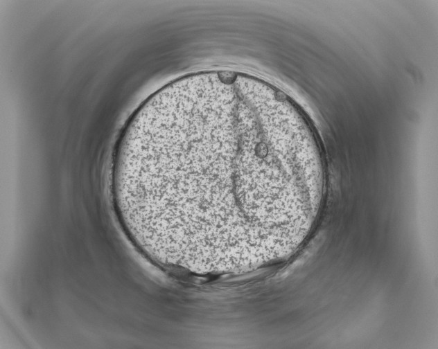 X0000112061525200909010952