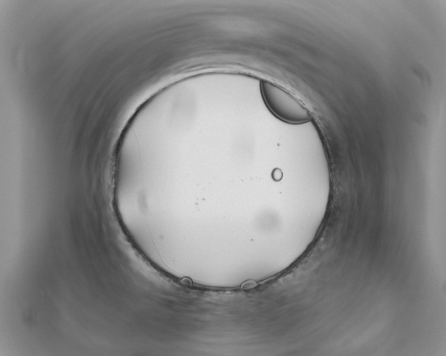 X0000112061526200909010952