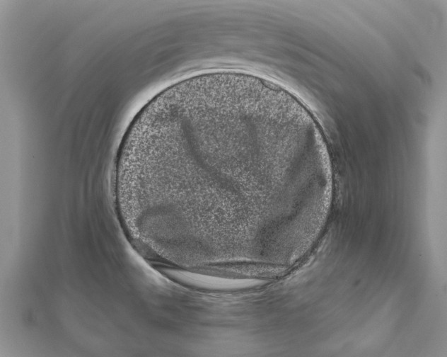 X0000112061527200909010952