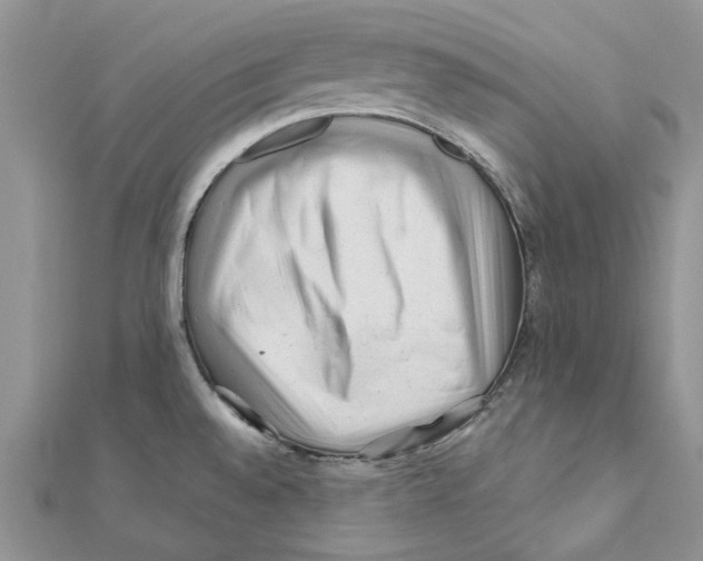 X0000112061528200909010952