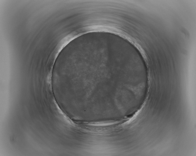 X0000112061529200909010952