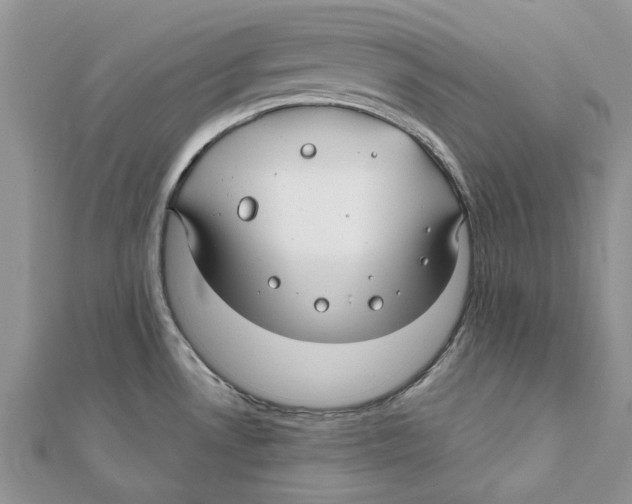 X0000112061530200909010952