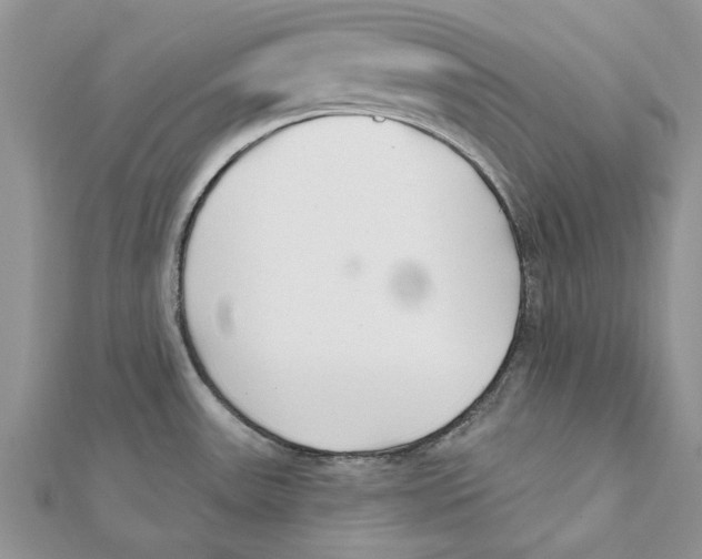 X0000112061531200909010952