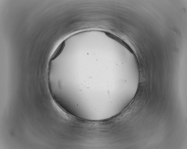 X0000112061532200909010952