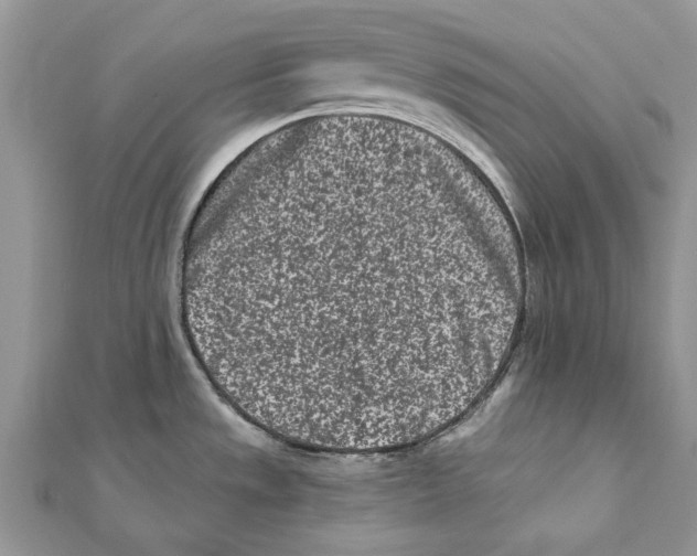 X0000112061533200909010952