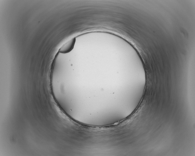 X0000112061534200909010952